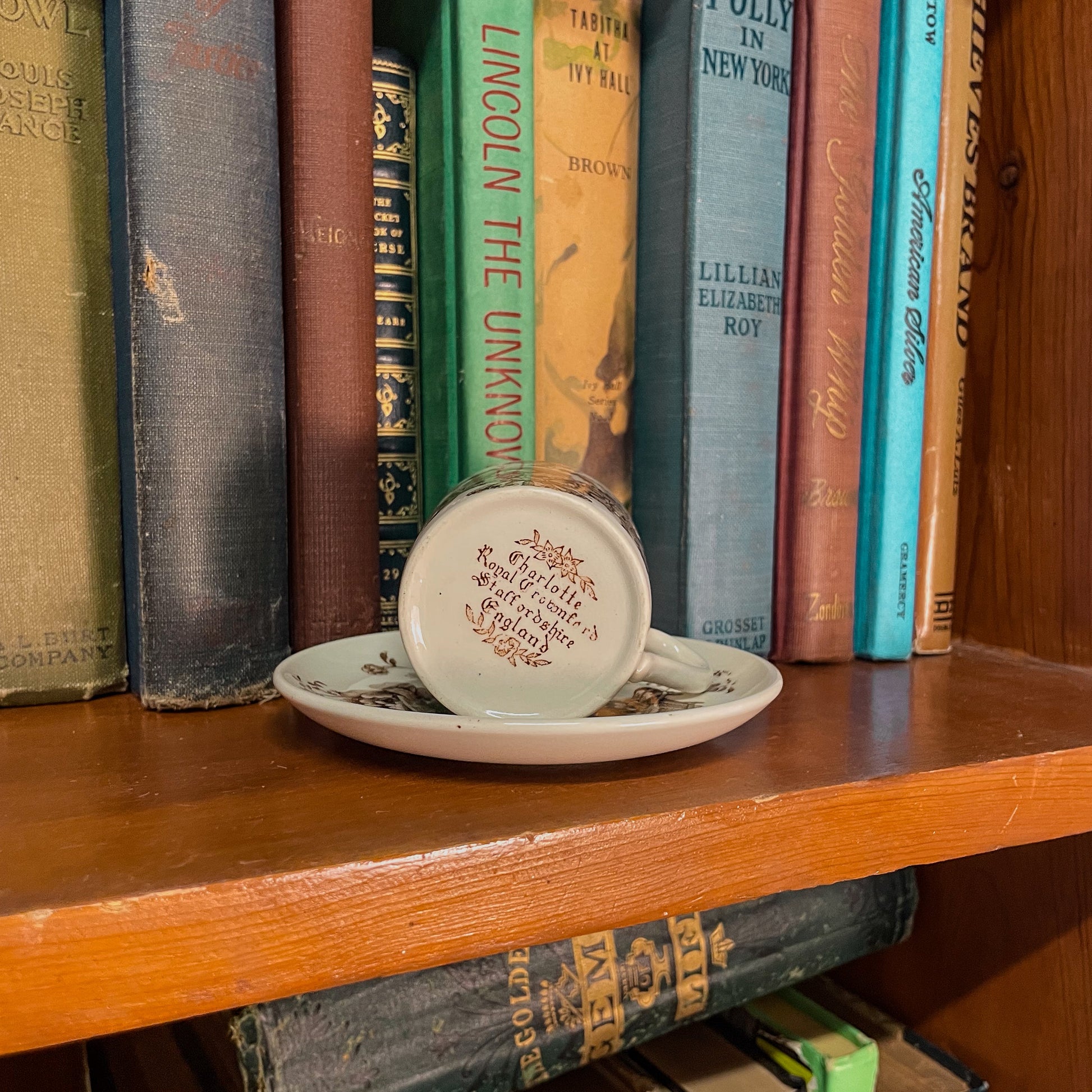 Decorative plate with a small figurine on a bookshelf with books around
