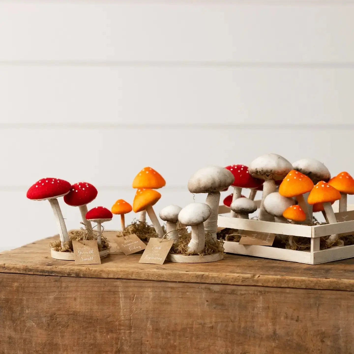 Mushroom Trio Soft Figure Changing Thymes of West Michigan