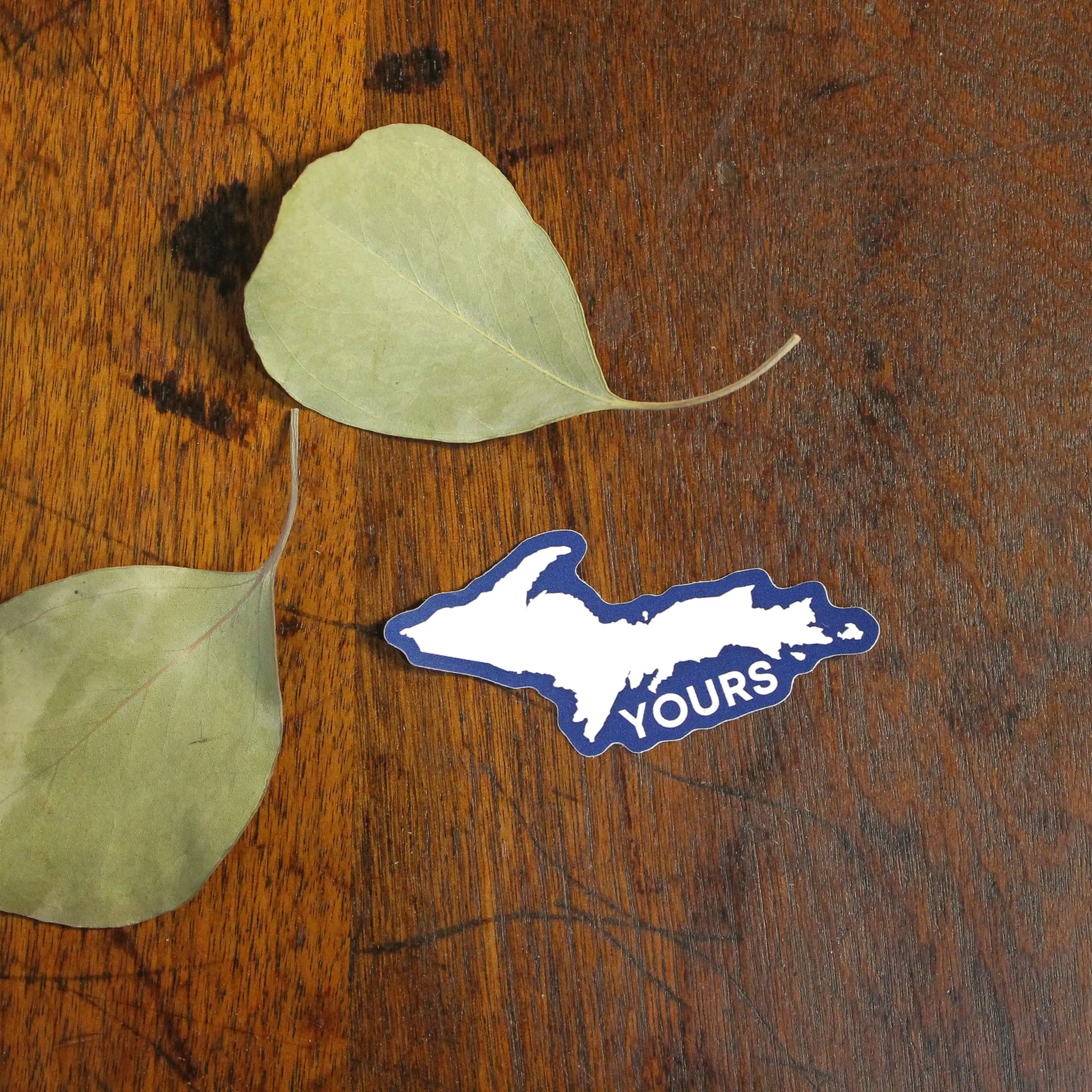 Two green leaves and a blue 'YOURS' sticker on a wooden surface