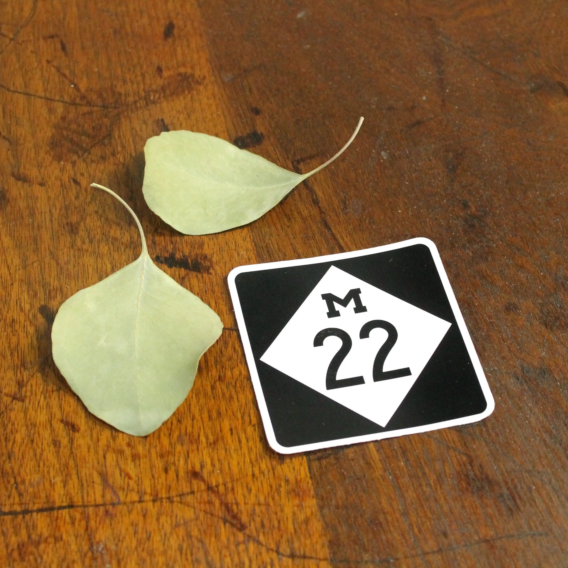 Small sicker road sign with 'M 22' on a wooden surface with leaves