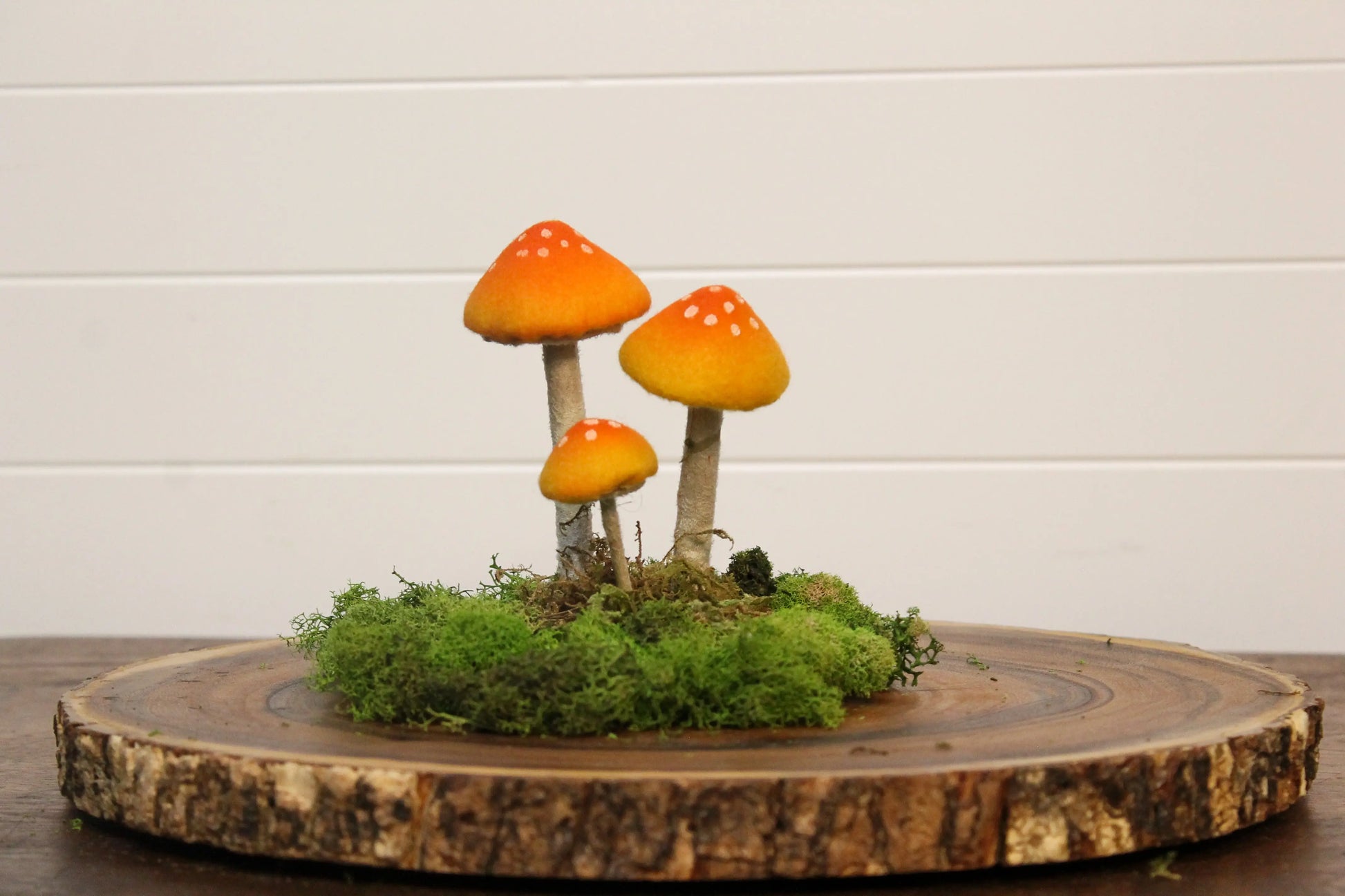 Mushroom Trio Soft Figure Changing Thymes of West Michigan