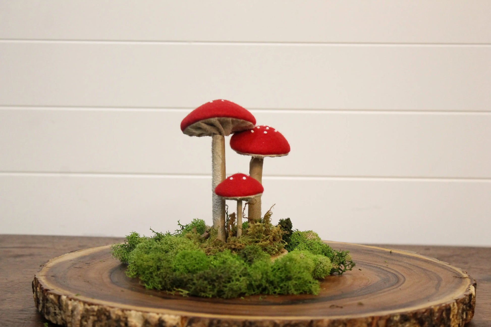 Mushroom Trio Soft Figure Changing Thymes of West Michigan